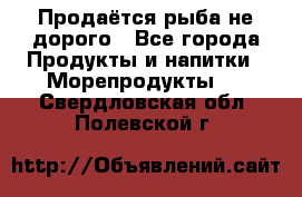 Продаётся рыба не дорого - Все города Продукты и напитки » Морепродукты   . Свердловская обл.,Полевской г.